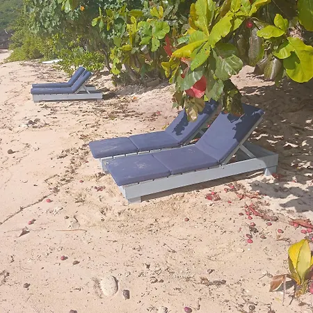 Max Beachside Homestay Nalauwaki Exterior photo
